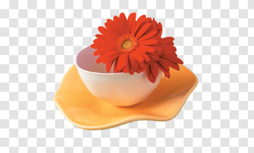 Flower Cup Rose Glass Wallpaper - Chrysanthemum - Small Floral Teacup Transparent PNG