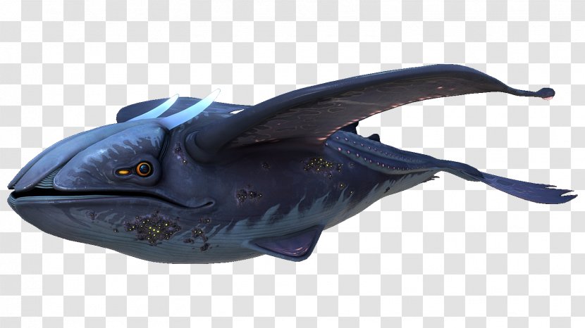 Subnautica: Below Zero Dolphin Whales Video Games Transparent PNG