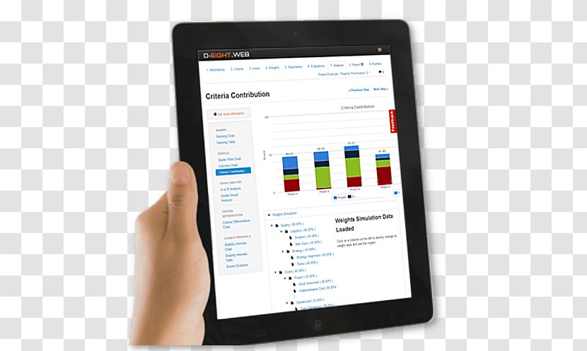 D-Sight Computer Software Decision-making Project - Management - Portfolio Transparent PNG