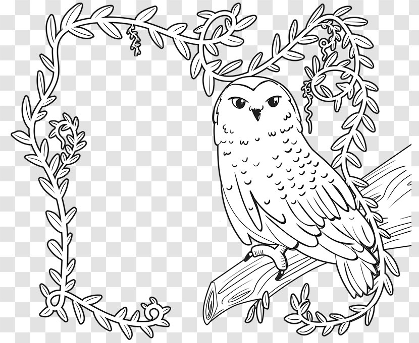 The Enchanted Forest Coloring Book Drawing Image Transparent PNG