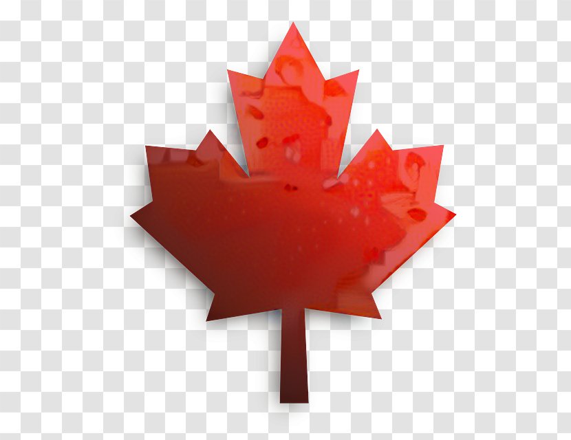 Flag Of Canada Desktop Wallpaper Image - Plant Transparent PNG