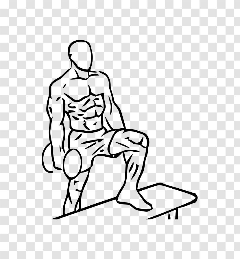 Biceps Curl Dumbbell Bench Exercise - Silhouette Transparent PNG