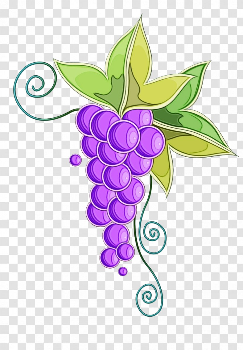 Leaf Grape Violet Purple Plant - Watercolor - Grapevine Family Fruit Transparent PNG