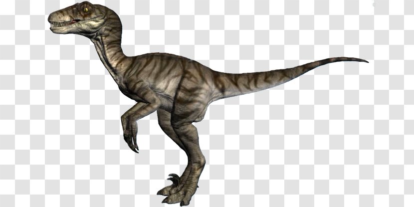 Velociraptor Yamaha Raptor 700R Tyrannosaurus Dinosaur - Jurassic World Evolution Transparent PNG