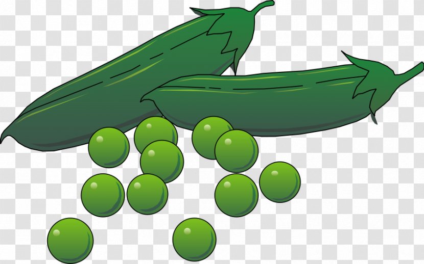 Pea Pod Vegetable Clip Art - Green Transparent PNG