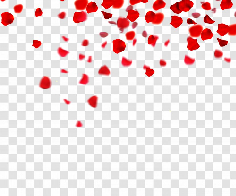 Petal If(we) Download - Tree - Rose Petals Floating Material Transparent PNG