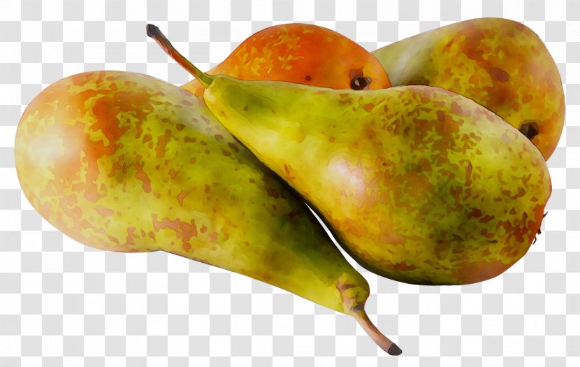 Pear Natural Foods Still Life Photography - Superfood - Plant Transparent PNG