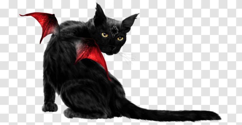 Bombay Cat Black Maine Coon Domestic Short-haired Whiskers - Kitten Transparent PNG