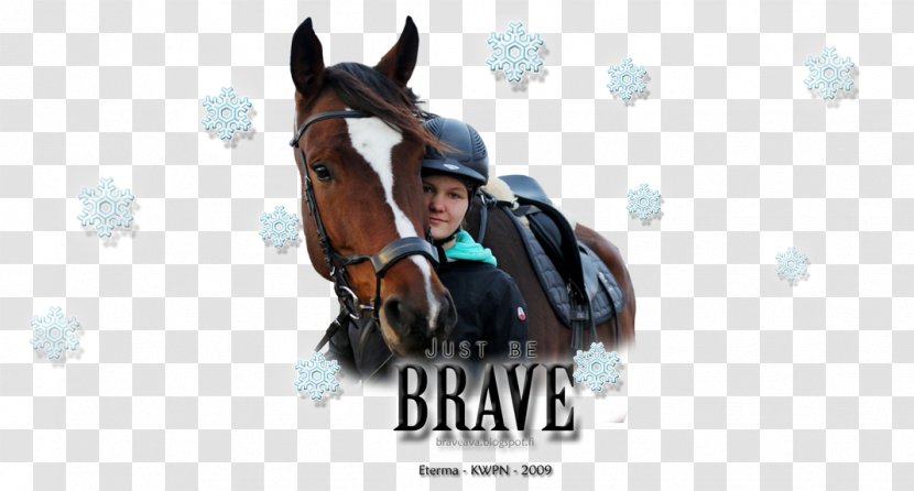 Rein Stallion Bridle Equestrian Horse Harnesses - Brand - High Jump Transparent PNG