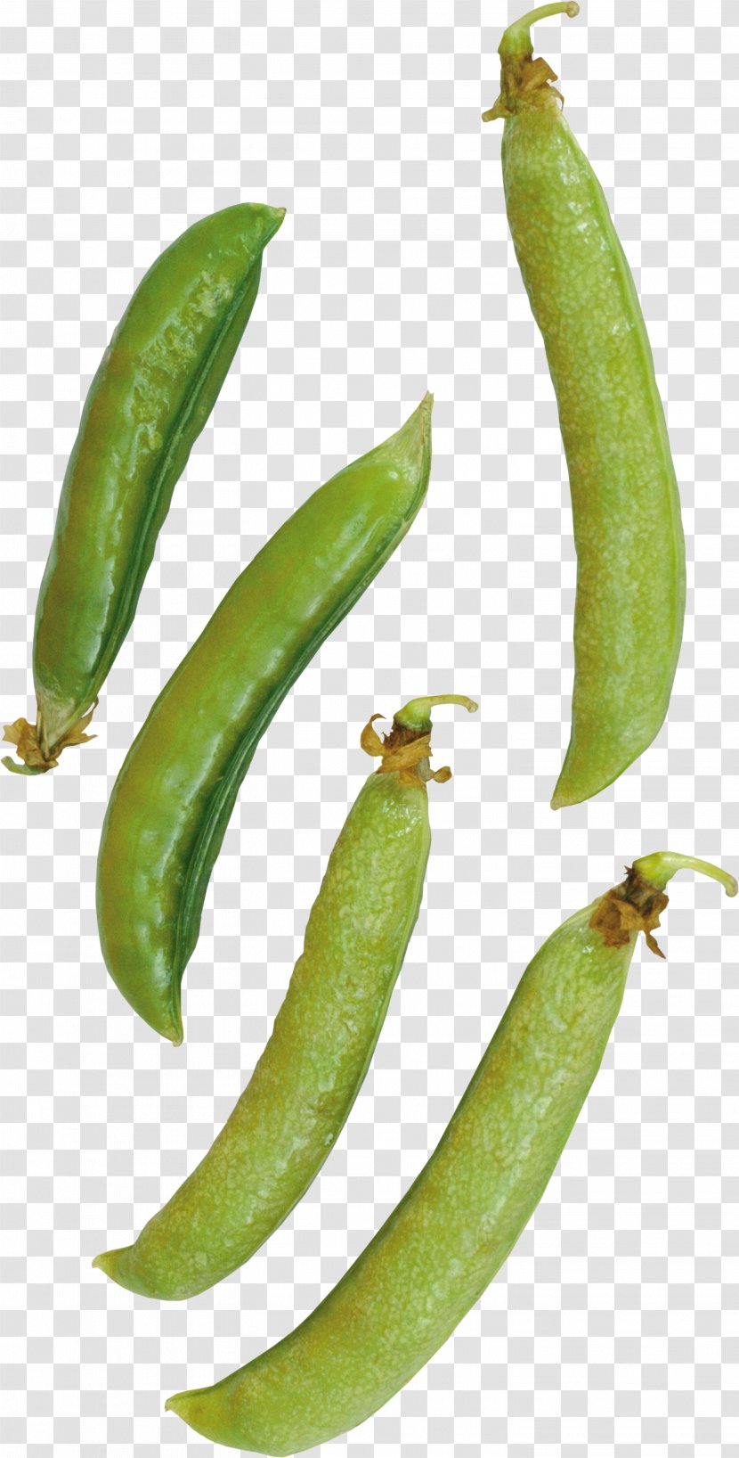 Common Bean Snap Pea Green Transparent PNG