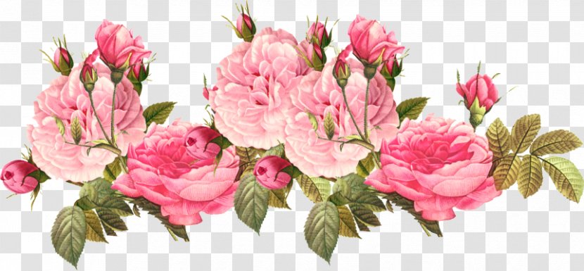 Clip Art Pink Flowers Image - Floristry - Flower Transparent PNG