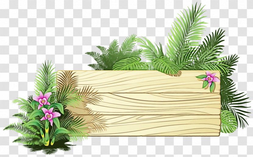 Palm Tree Drawing - Plant - Rectangle Transparent PNG