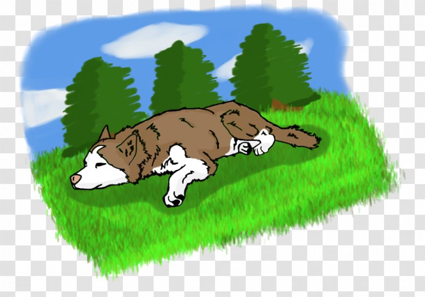 Dairy Cattle Pasture Grasses - Plant - Husky Drawing Transparent PNG