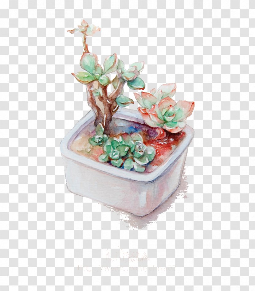 Succulent Plant Watercolor Painting Illustration - Flowerpot Transparent PNG