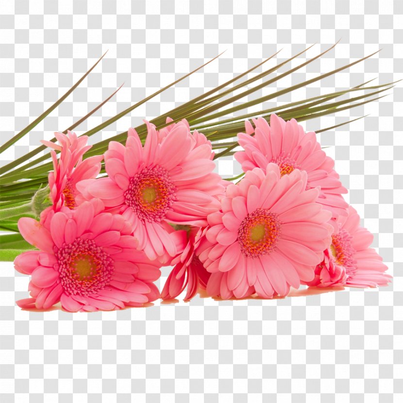 High-definition Television Pink Flowers Wallpaper - Gerbera - Vector Bouquet Of Red Transparent PNG