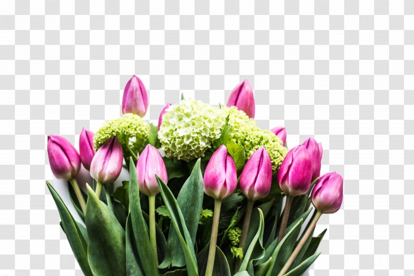 Happy Birthday To You Wish Greeting Card - Flower Arranging - Pink Tulips Transparent PNG