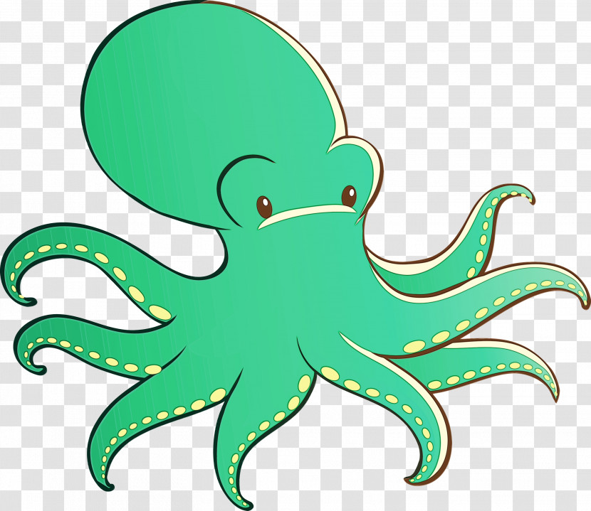 Octopus Green Giant Pacific Octopus Octopus Transparent PNG