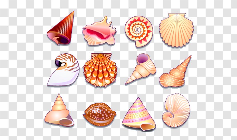 Seashell Shellfish Icon - Nautilida - Conch Transparent PNG
