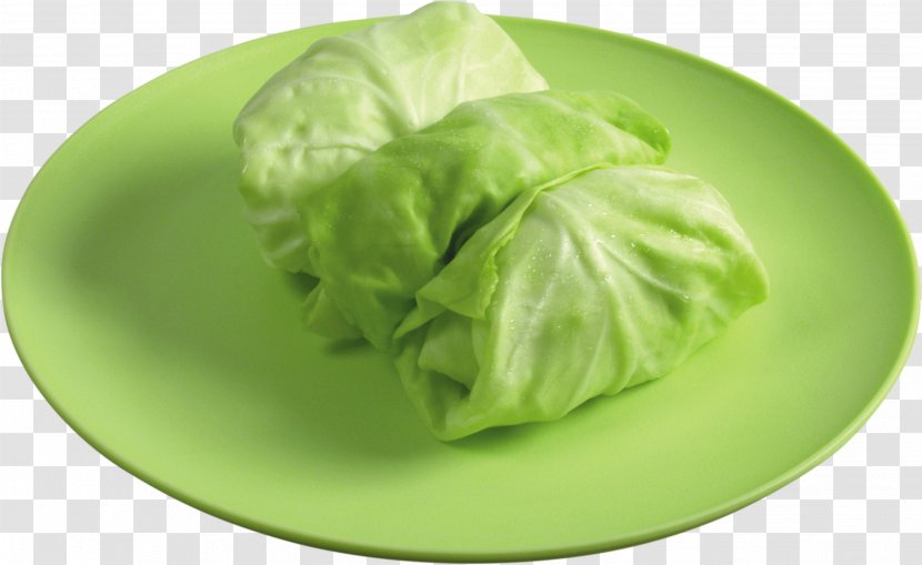 Cabbage Roll Leaf Vegetable Food - Lettuce Transparent PNG