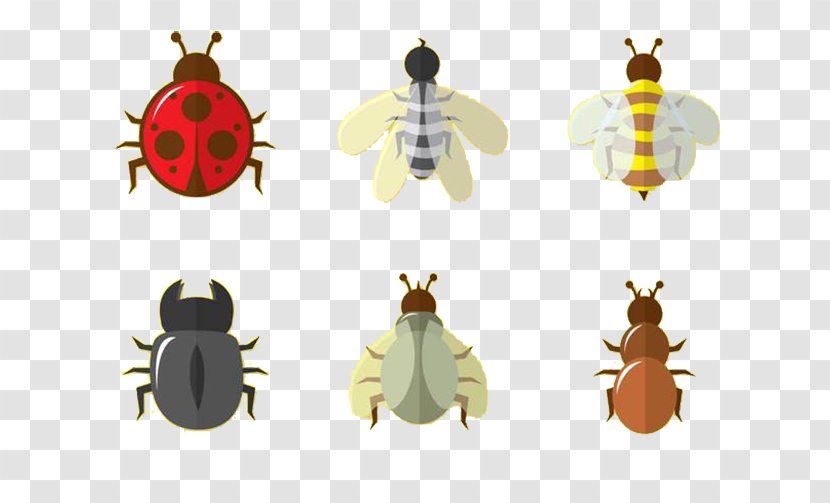 Insect Bee Euclidean Vector Ladybird - Wasp - Grasshopper Transparent PNG