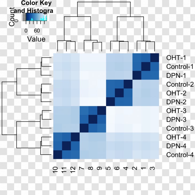 Sequence Arithmetic Progression Geometric Shape Chart Brand - Heatmap Rna-seq Transparent PNG