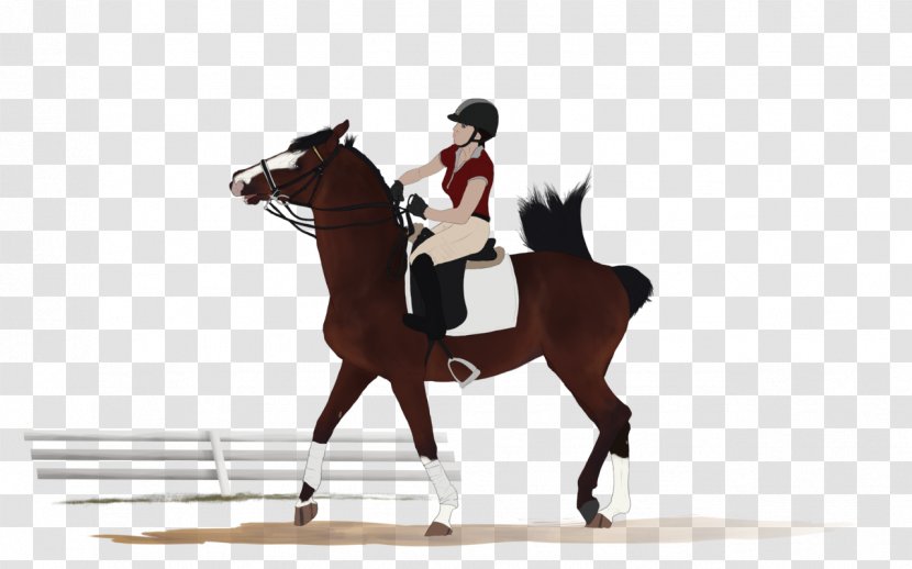 Stallion Hunt Seat Mustang Rein Mare - Equestrianism Transparent PNG