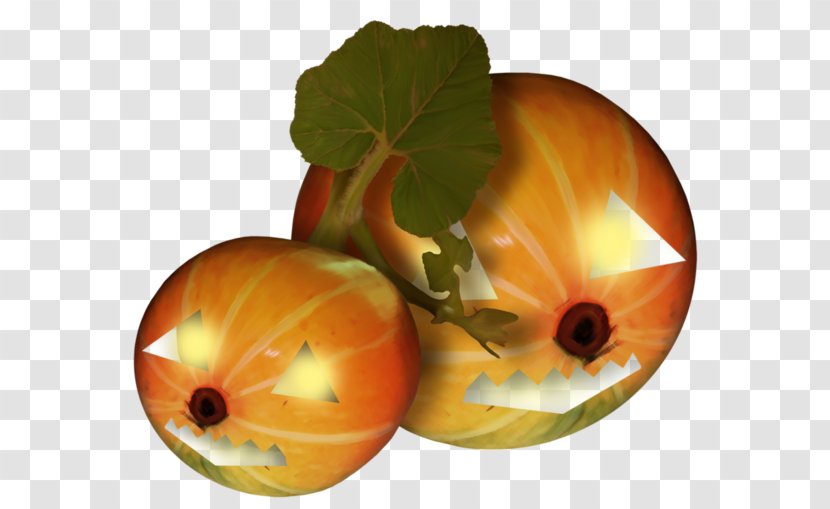 Pumpkin Calabaza Gourd Winter Squash - Orange - Hand Painted Transparent PNG