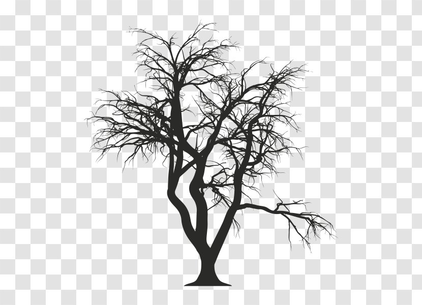 Tree Drawing Photography - Silhouette Transparent PNG