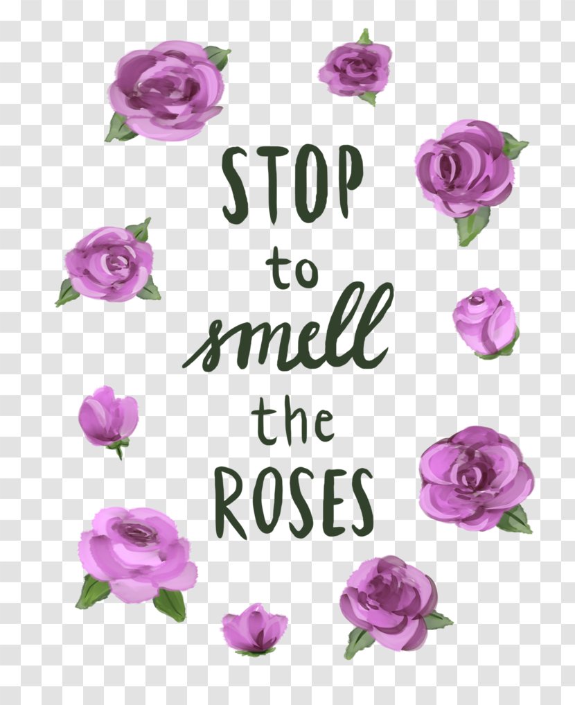 Garden Roses Floral Design Cut Flowers Pink M - Floristry - Stop And Smell The Transparent PNG