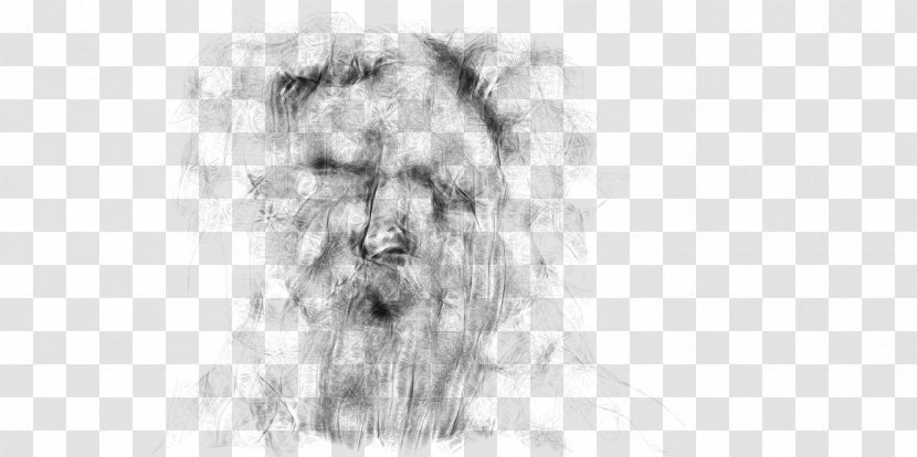 Snout Dog Line Art Fur Sketch - Homo Sapiens Transparent PNG