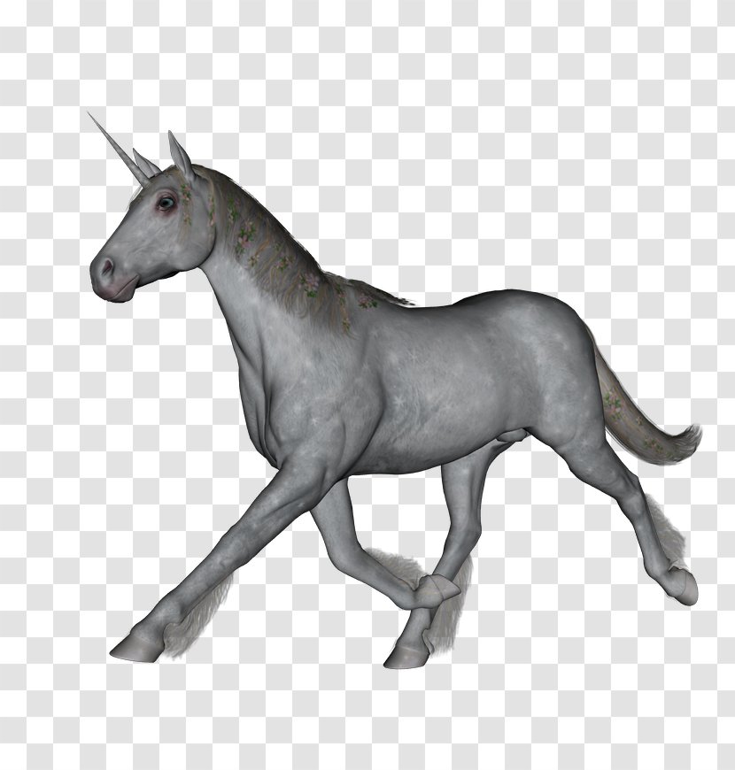 Mule Horse Gouache Halter Sketch - Pony - Fantasy Spot Transparent PNG