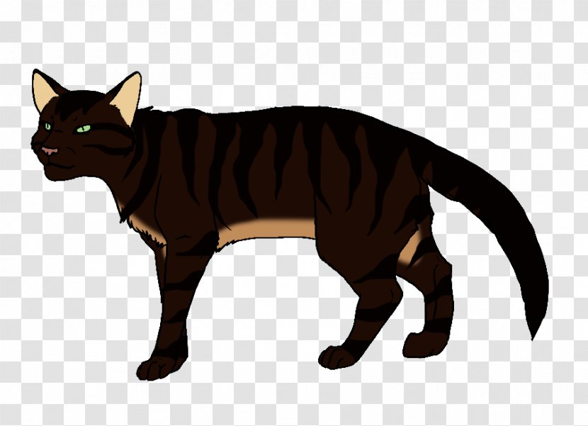Whiskers Kitten Domestic Short-haired Cat Wildcat - Mammal - Claw Transparent PNG