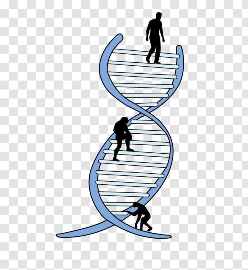 Genetics La Ingenieria Genetica Genetic Engineering Biology - Biotechnology - Science Transparent PNG