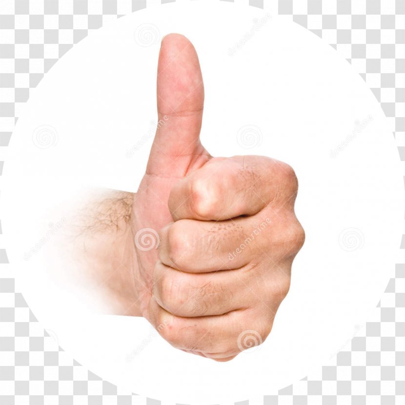 Gesture Body Language Word Sign Thumb - Yes Transparent PNG