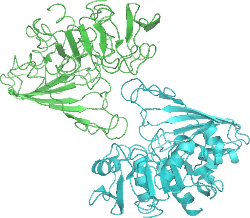 Glyceraldehyde 3-phosphate Dehydrogenase Biology Nicotinamide Adenine Dinucleotide Clip Art - 3phosphate - Pictures Transparent PNG