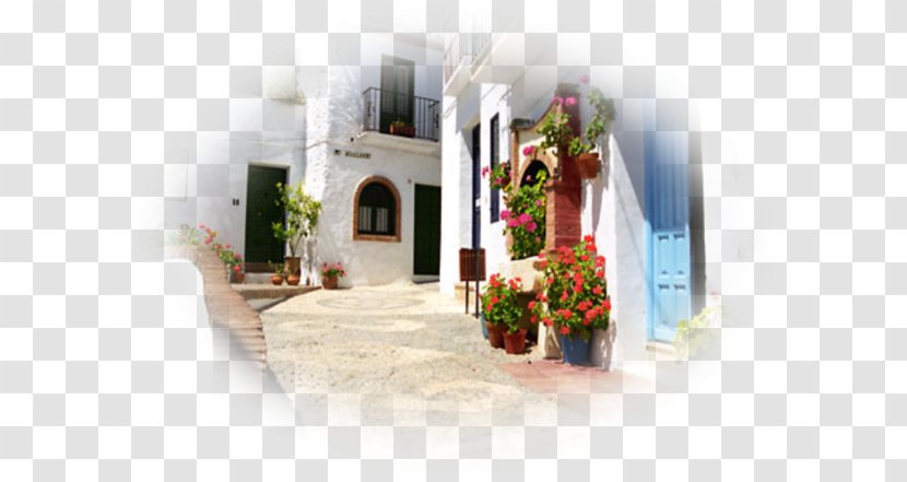Online Dating Service Málaga Plaza Costa Del Sol Be2 Badoo - Home - Floral Design Transparent PNG