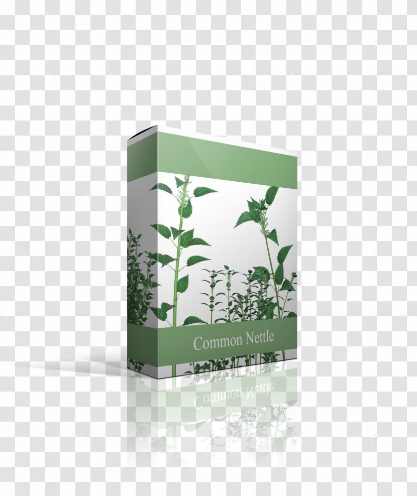 Herb Font - Green - Design Transparent PNG