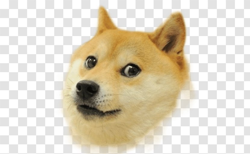 Shiba Inu Doge 2048 0 Snake - Heart - Frame Transparent PNG