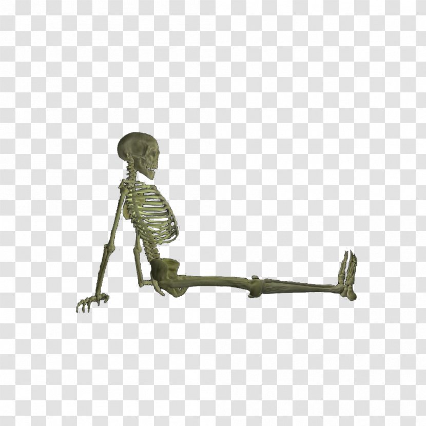 Skeleton Bone Fracture Skull - Figurine Transparent PNG