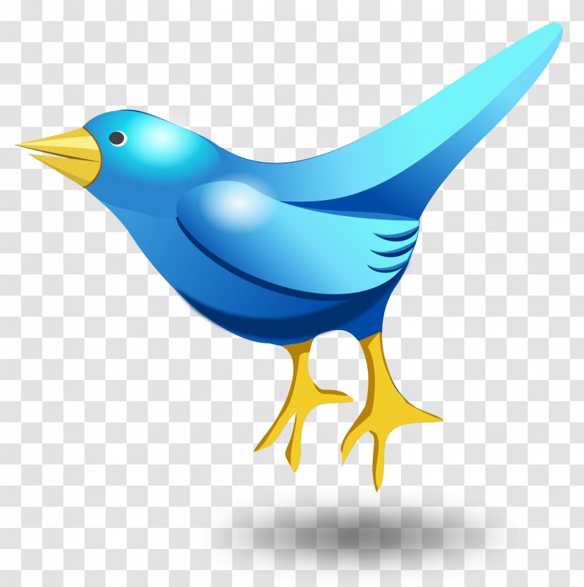 Bird Clip Art - Illustration - Twitter Tweet Vector Transparent PNG