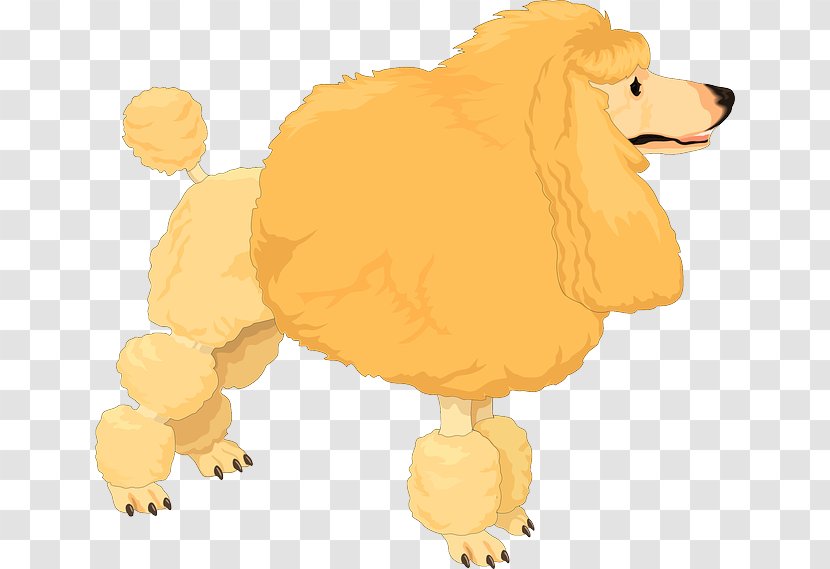 Toy Poodle Old English Sheepdog Standard Clip Art - Yellow - Tribal Husky Transparent PNG