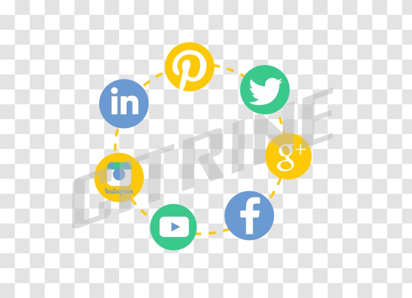Logo Social Media Brand Product Diagram Transparent PNG