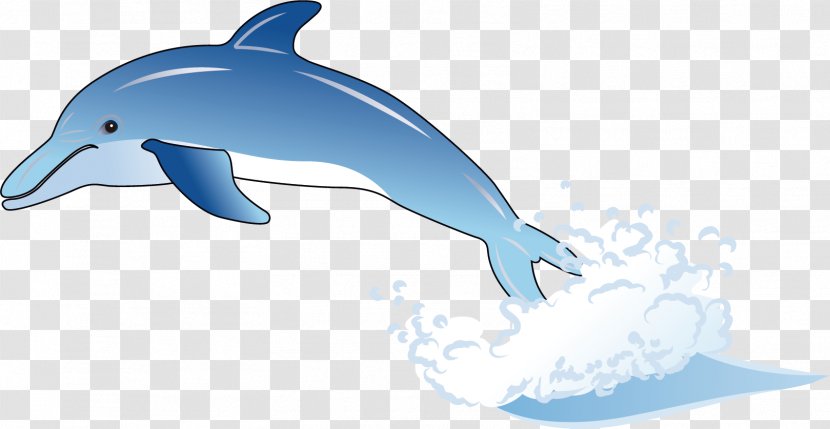 Common Bottlenose Dolphin Wholphin Tucuxi Cartoon - Material Transparent PNG