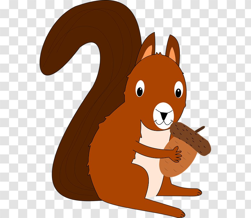 Clip Art Squirrel Image Vector Graphics - Carnivoran Transparent PNG
