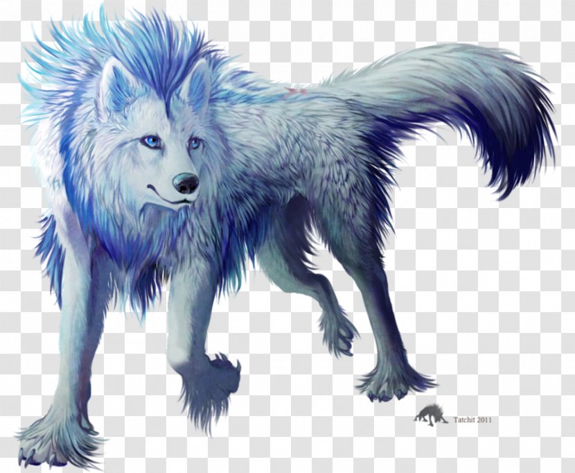 Gray Wolf American Frontier Myth Magic Horse - Dog Like Mammal - Fur Transparent PNG