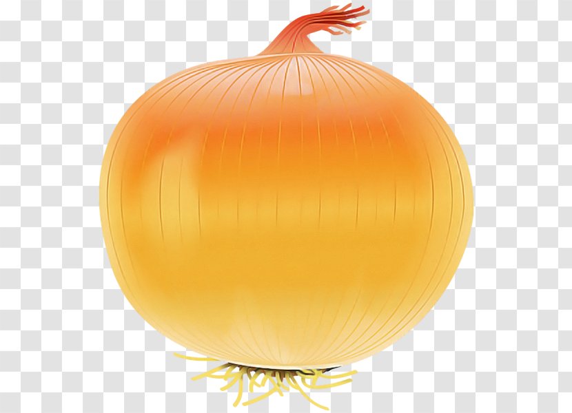 Orange - Yellow - Fruit Pumpkin Transparent PNG