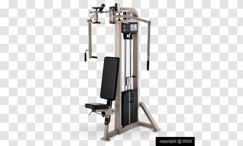Machine Fly Rear Delt Raise Weight Training Strength - Smith - Fitness Coach Transparent PNG
