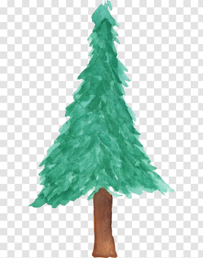 Christmas Tree Pine Fir Watercolor Painting - Decoration - Leaves Transparent PNG