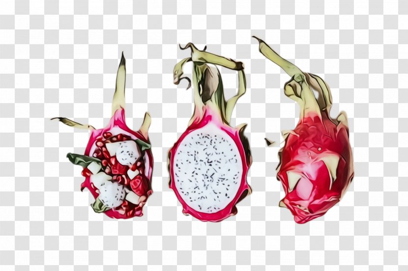 Pitaya Dragonfruit Fruit Plant Fashion Accessory - Flower Jewellery Transparent PNG