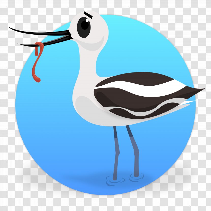 Cygnini Bird Beak Crane Goose - Like Transparent PNG